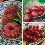  Heirloom Tomato Trio