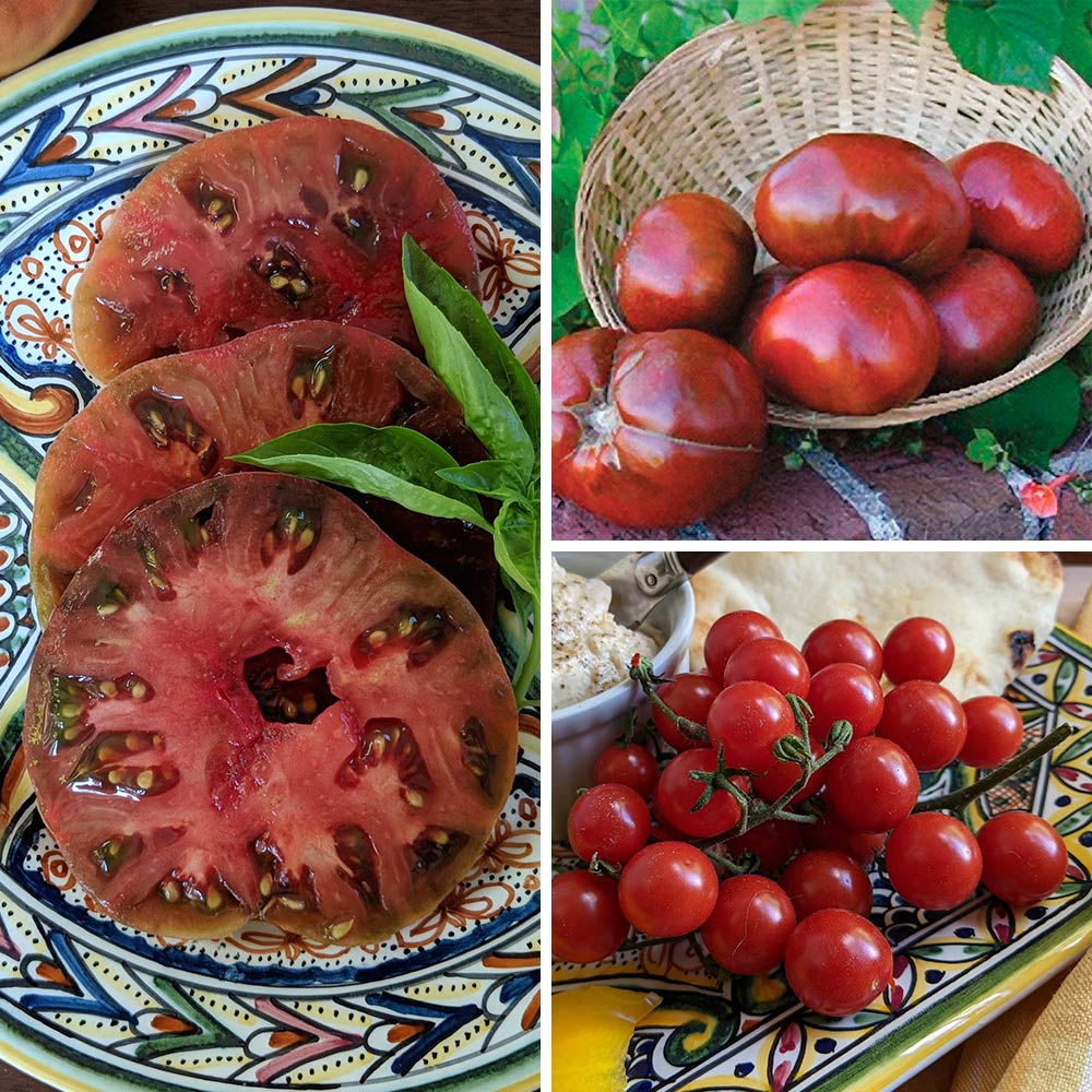Heirloom Tomato Trio