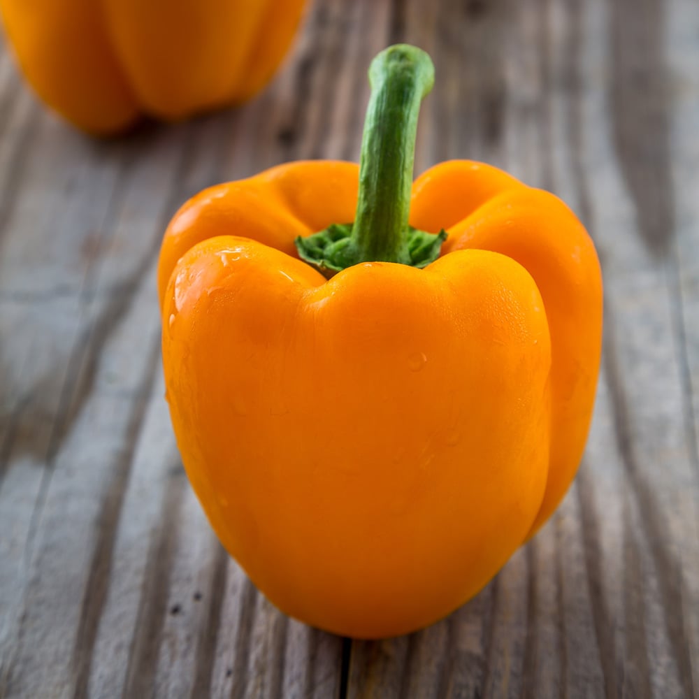 Pepper 'Ariane'