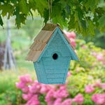  Wren-in-the-Wind House, Blue Eggshell 