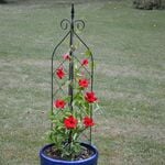 3-Way Trellis, Small 