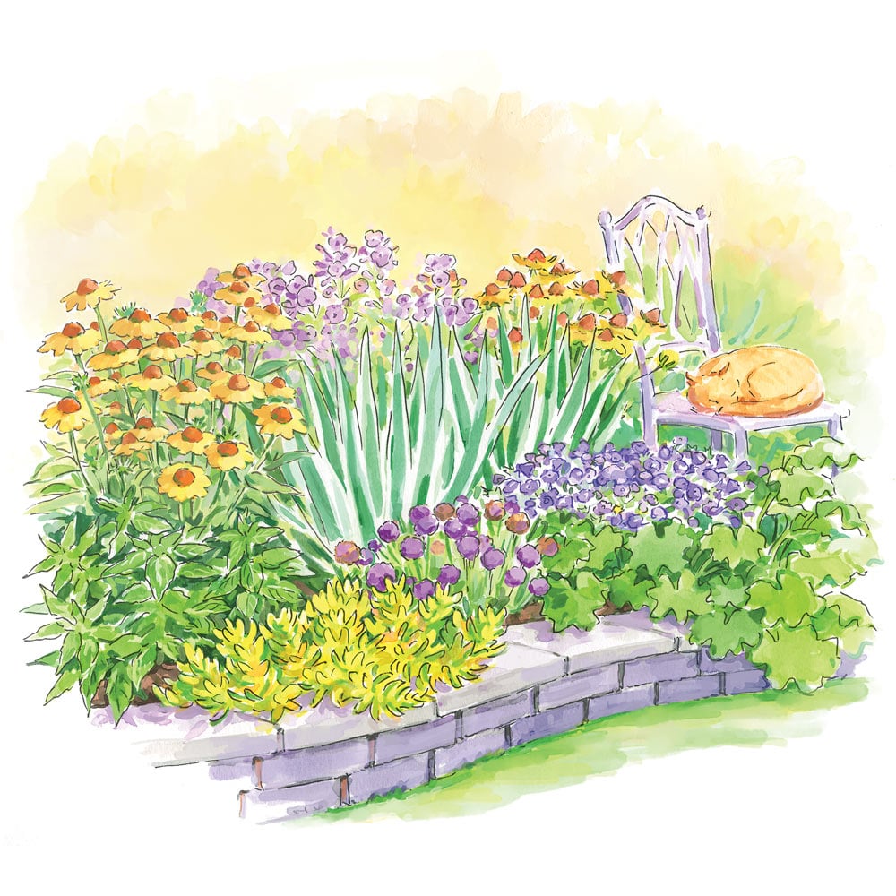 Avoid These Common Perennial Garden Mistakes, image size:1000x1000