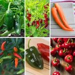  Chili Pepper Sampler