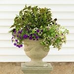 Florencia Lavastone Urn, Short, Natural
