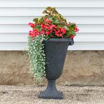 Large Containers & Planters