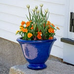  Jacqueline Urn, Riviera Blue