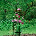  Rose Pillar Obelisk, Small