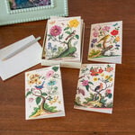  Floreale Boxed Note Cards, Set of 8