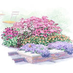 Start a Garden