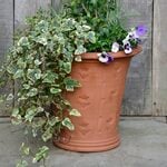  Whichford Wallpaper Tulip Pot