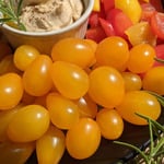 New Tomato Varieties