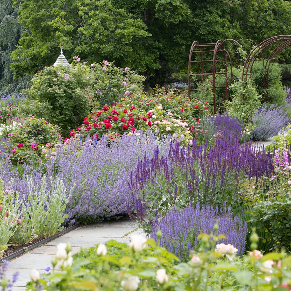 Shop Gardening