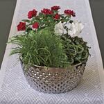  Tinsel Time Dish Garden Kit