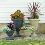  Ionic Lavastone Urns