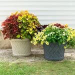  Milano Basket Weave Planter
