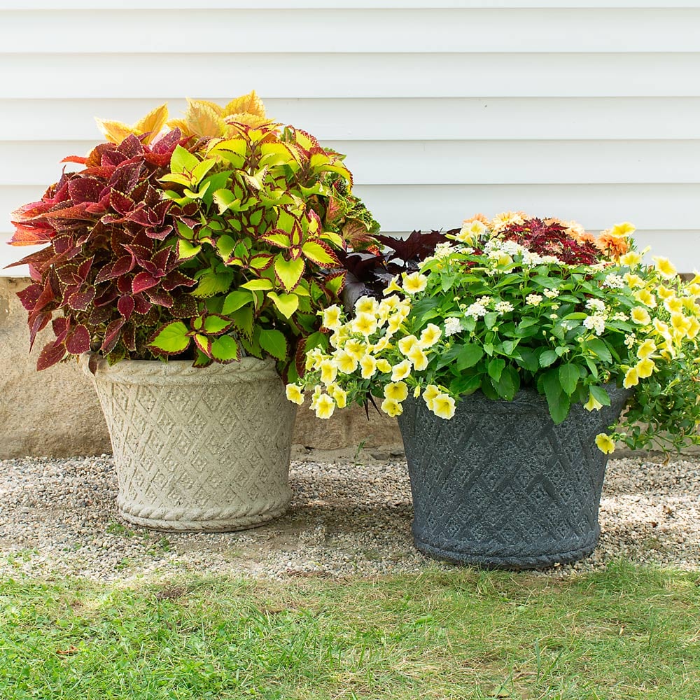 Milano Basket Weave Planter