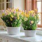  Brand New Day Bulb Garden