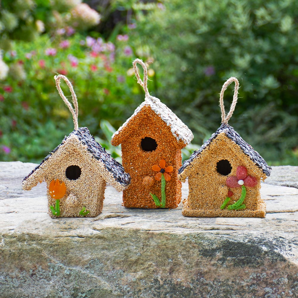 Birdseed