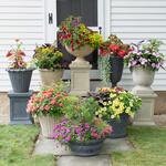 Lavastone Planters