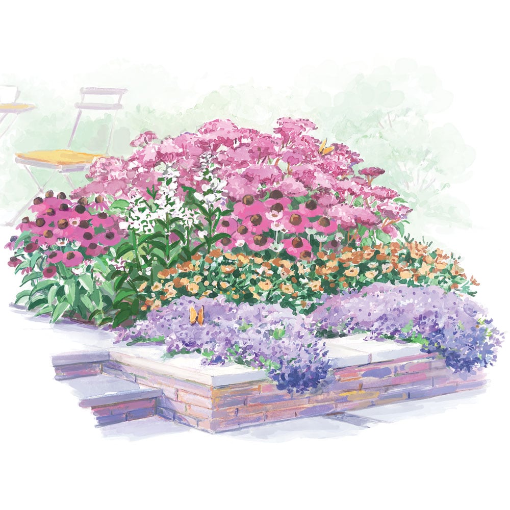 Start a Garden: Native Plants for Sun