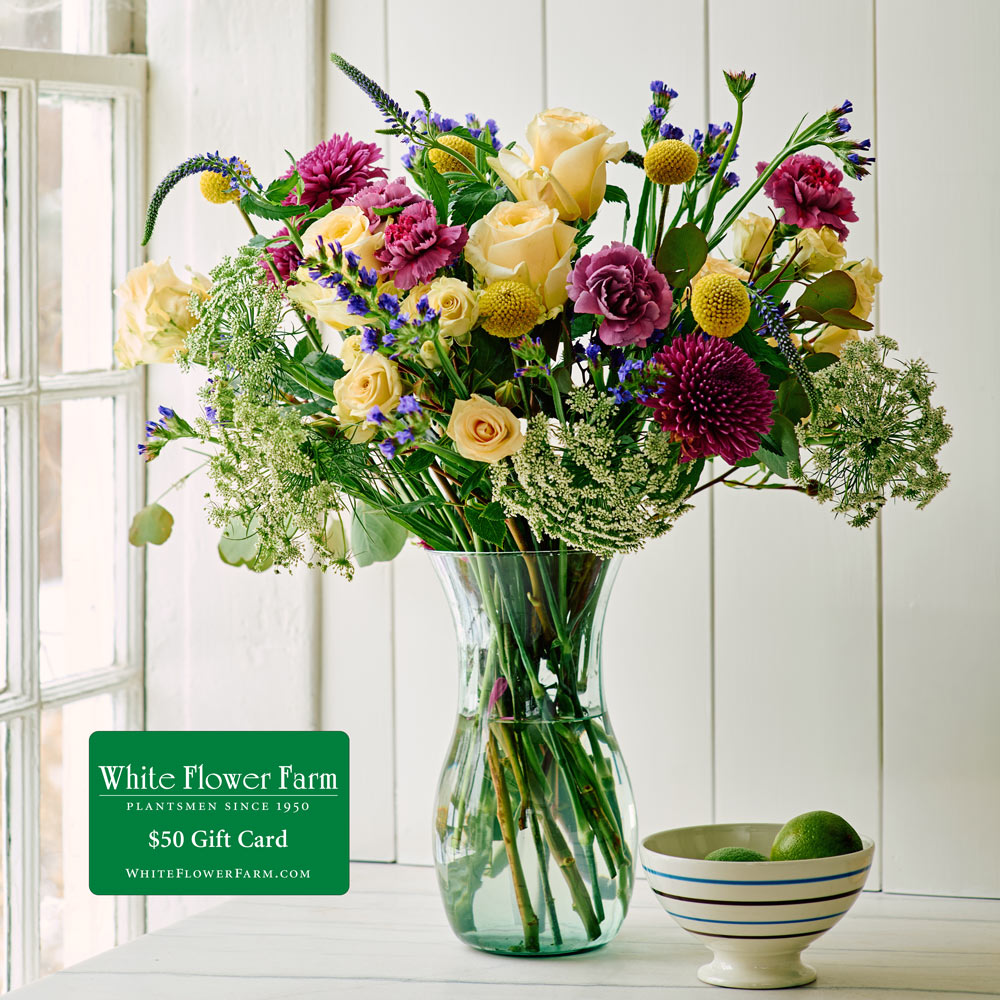 Jewel Tones Bouquet