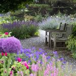  Garden Walks with Cheryl Karpeichik and/or Eliot Wadsworth
