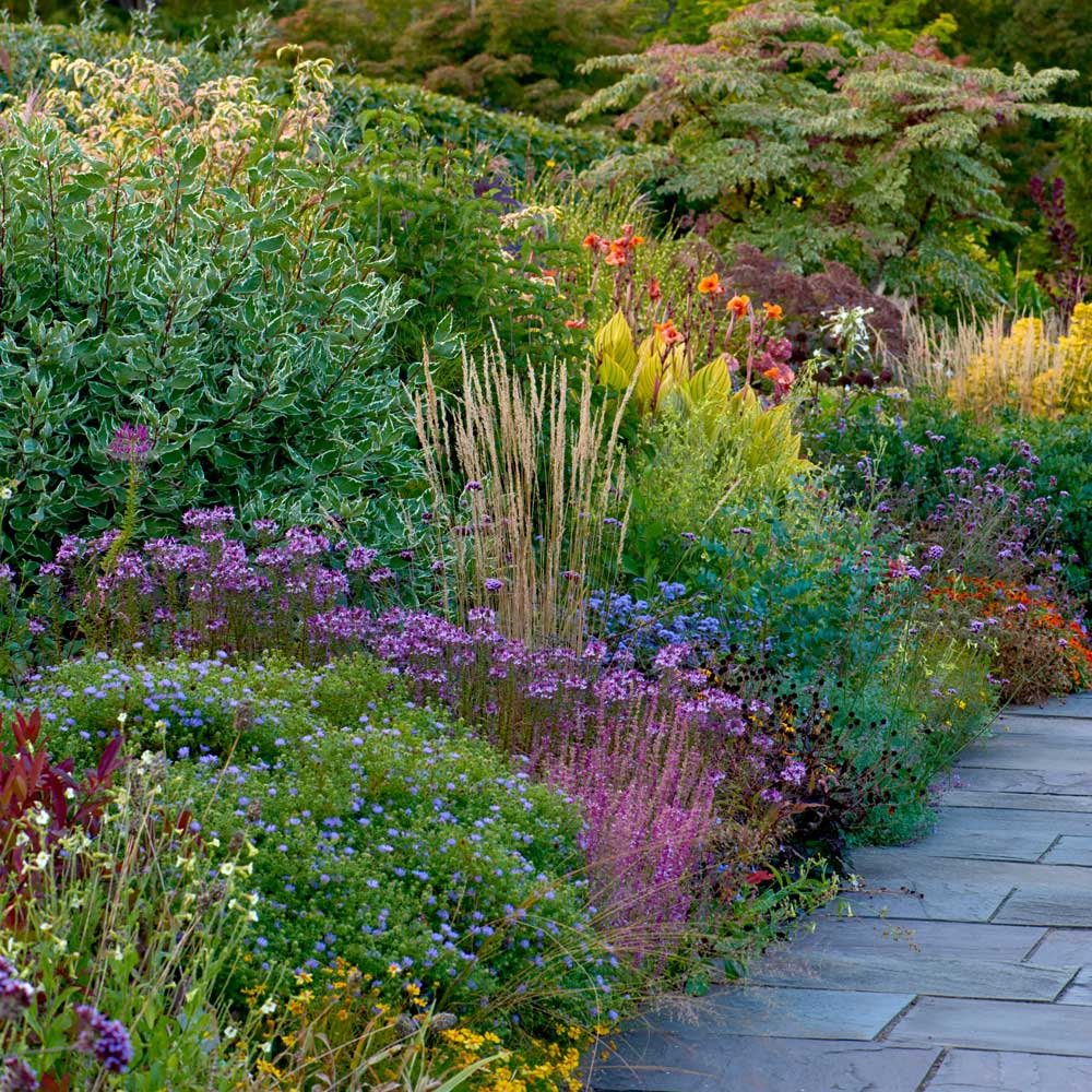 <strong>Saturday, Sept. 12, 2026 - 10 a.m., rain or shine</strong> Garden Walks Series - The Lloyd Border Shows Its Strength