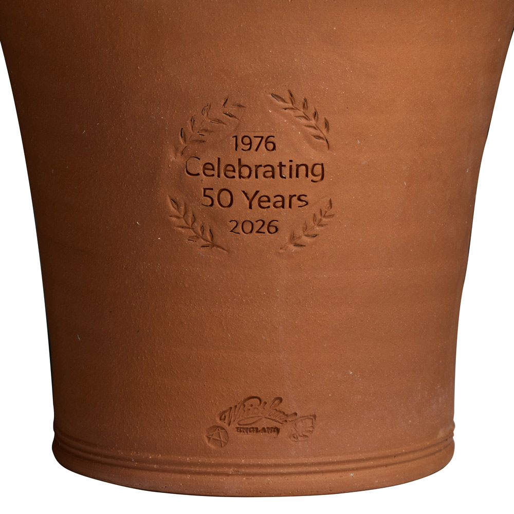 Whichford 50th Anniversary Pot | White Flower Farm