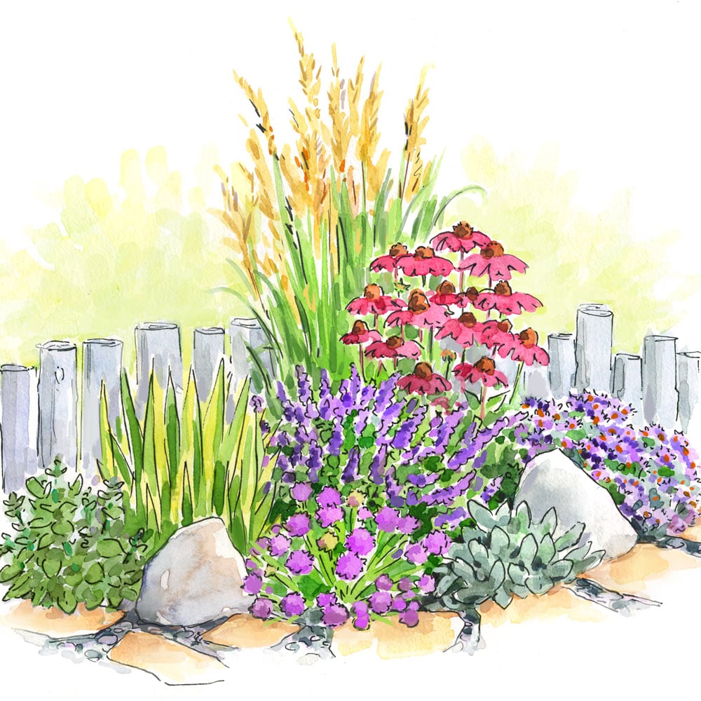 Start a Garden for Sun