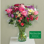  Sugar Plum Bouquet with Vase Plus $50 Gift Card - Shipping Included