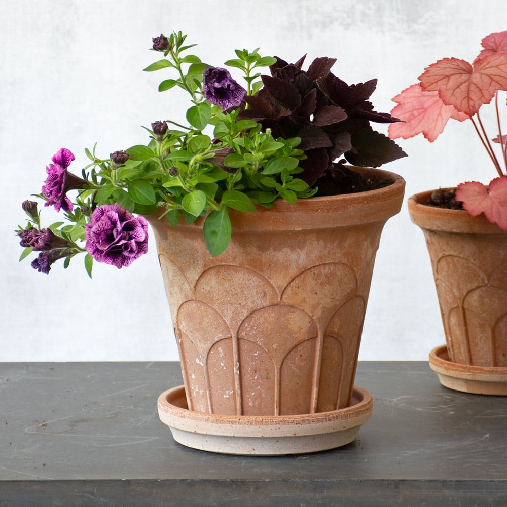 Bergs Fleur Pot & Saucer, Rosa