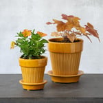  Bergs Simona Pot & Saucer, Glazed Yellow