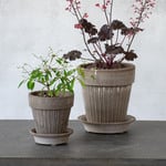  Bergs Simona Pot & Saucer, Gray