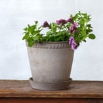  Bergs Helena Pot & Saucer, Gray, 8½