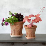  Bergs Fleur Pot & Saucer, Rosa