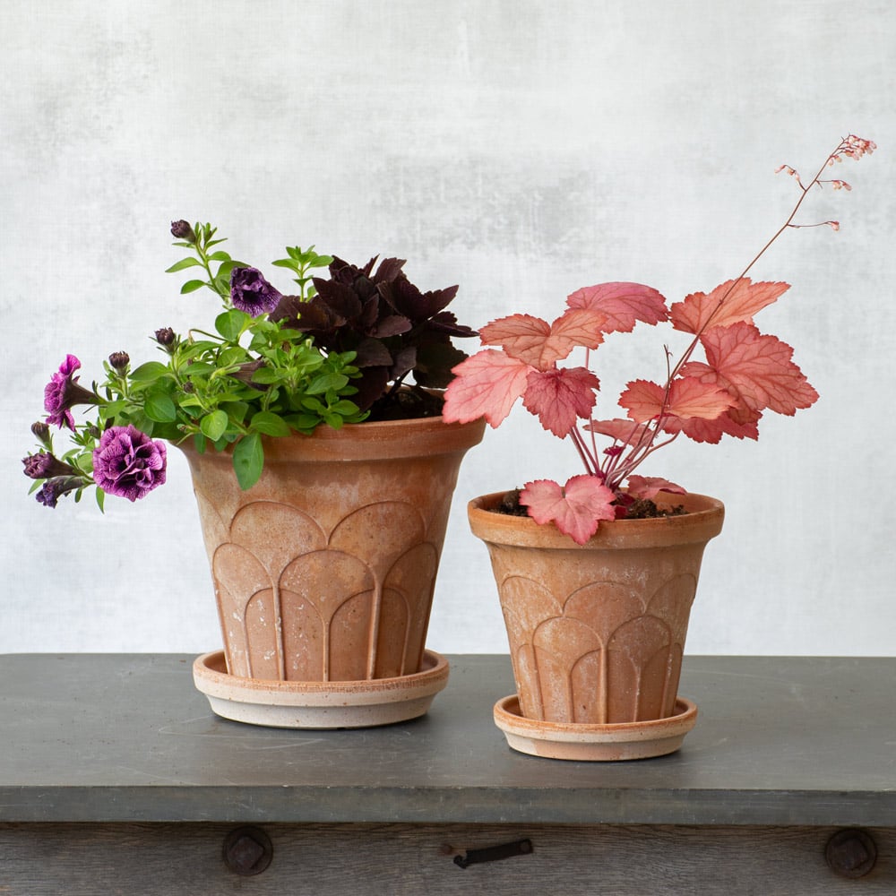 Bergs Fleur Pot & Saucer, Rosa