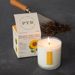  Plant the Box Sweet Sunflower Candle