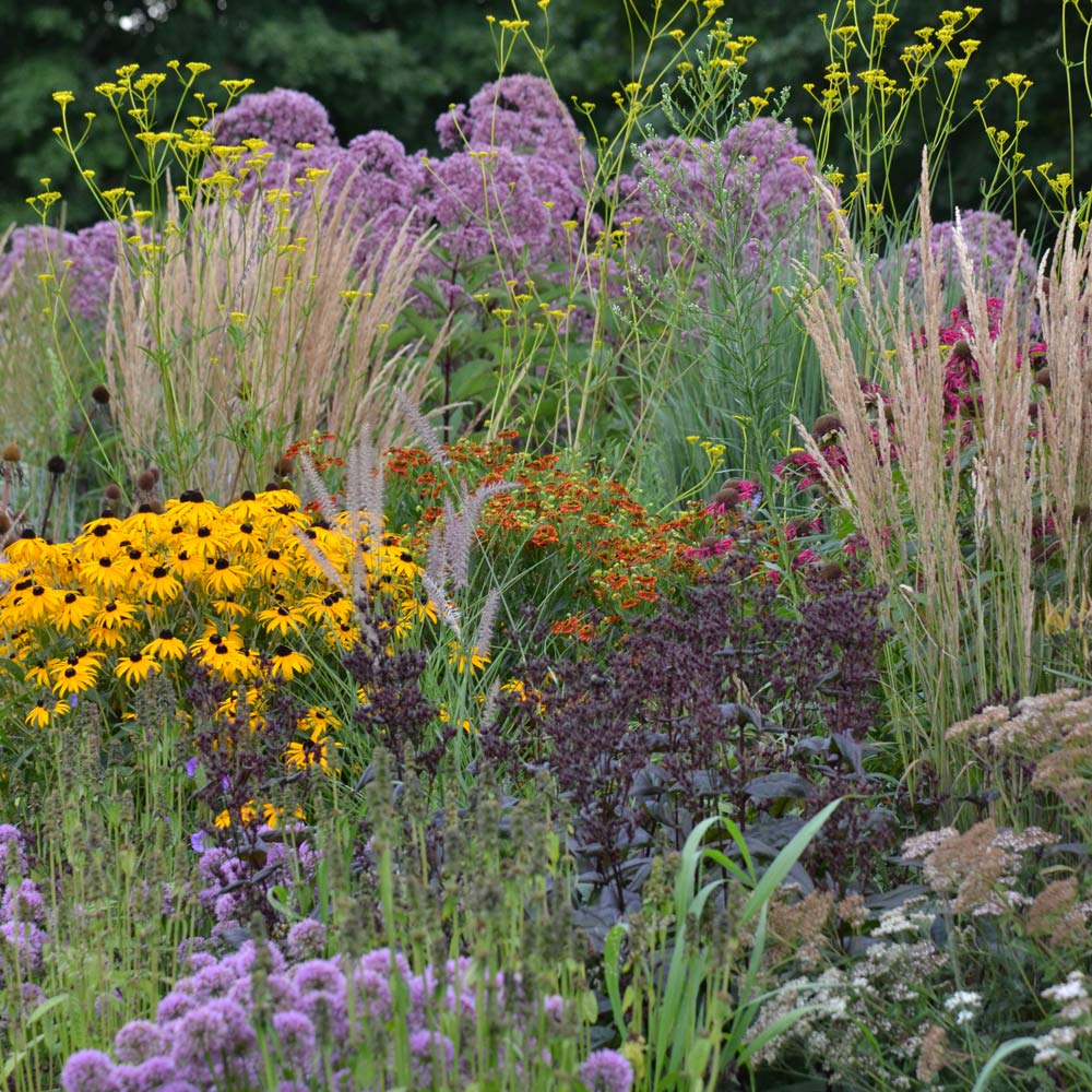 Shop Fall Gardening