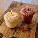  Autumn Acorn Soy Candle
