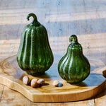 Harvest Glass Gourds