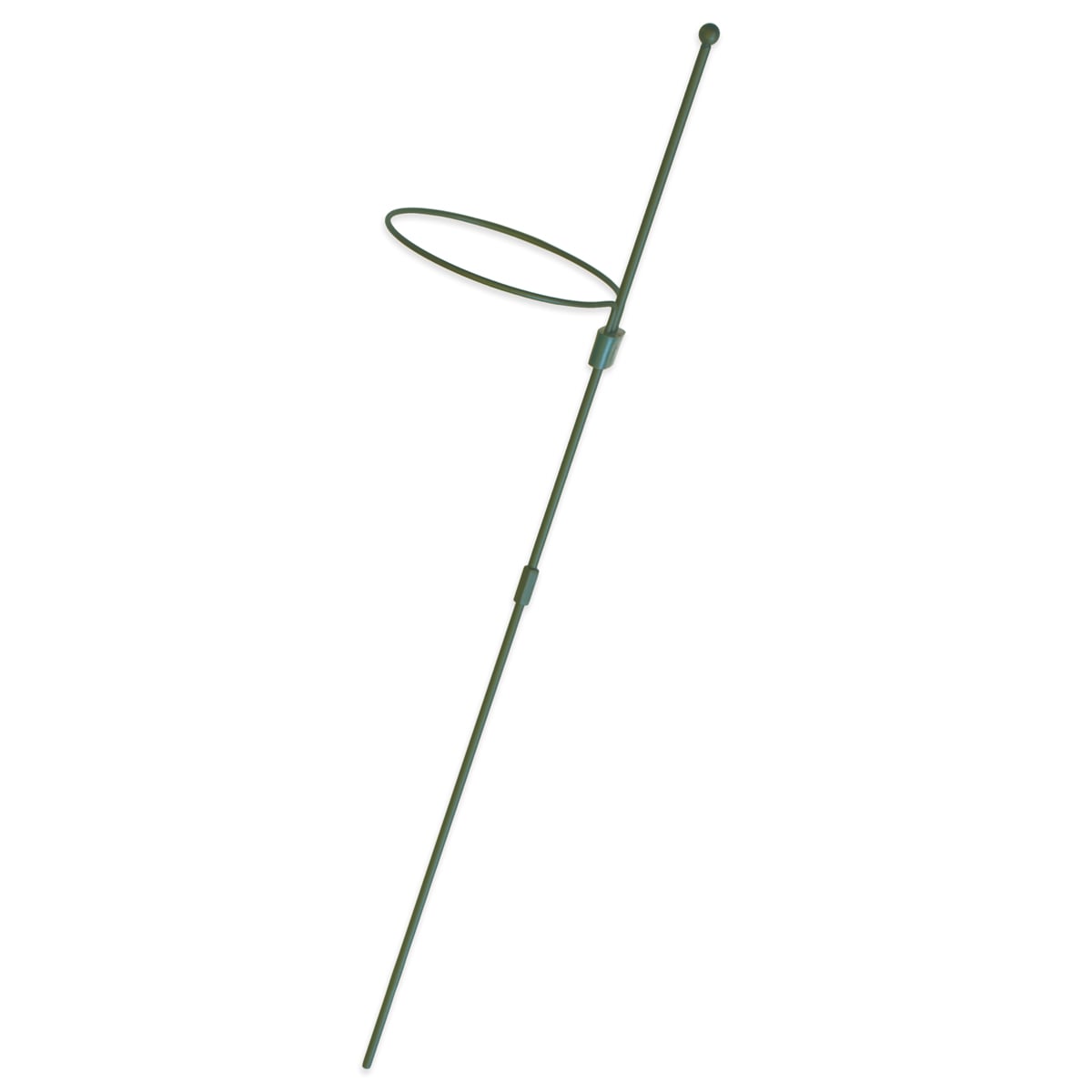 Dark Green Amaryllis Stake