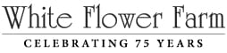 White Flower Farm - Homepage