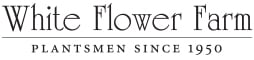 Whiteflowerfarm Logo
