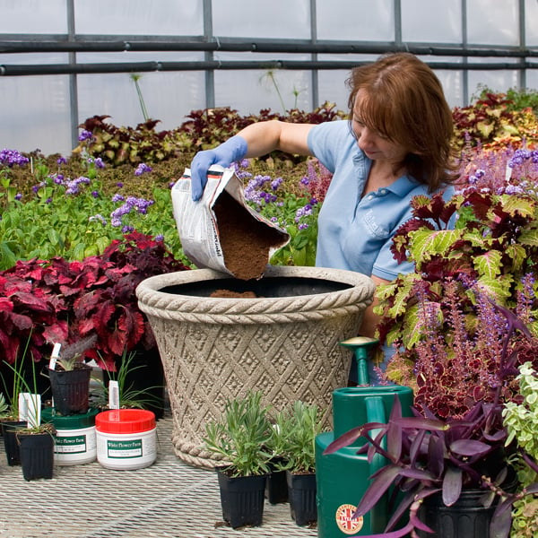 Single container vegetable garden