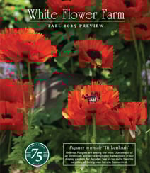 Get a free White Flower Farm Catalog