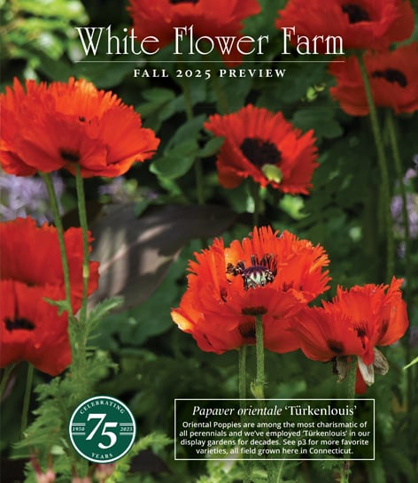 Catalog Cover