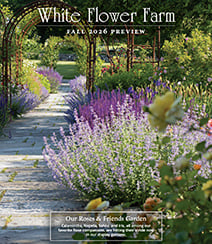 Get a free White Flower Farm Catalog