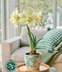 Get a free White Flower Farm Catalog