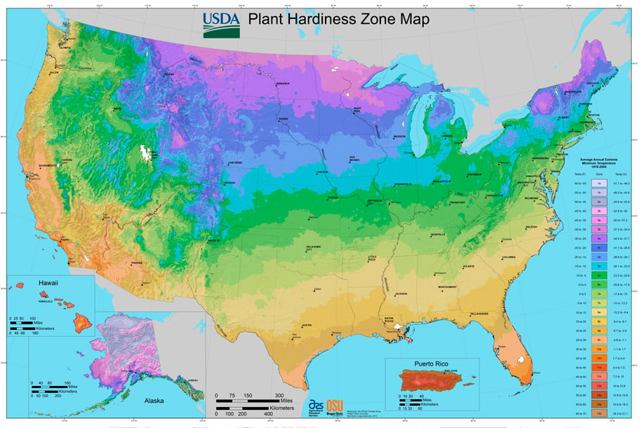 USDA Hardiness Zones Map