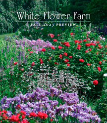 Catalog Cover